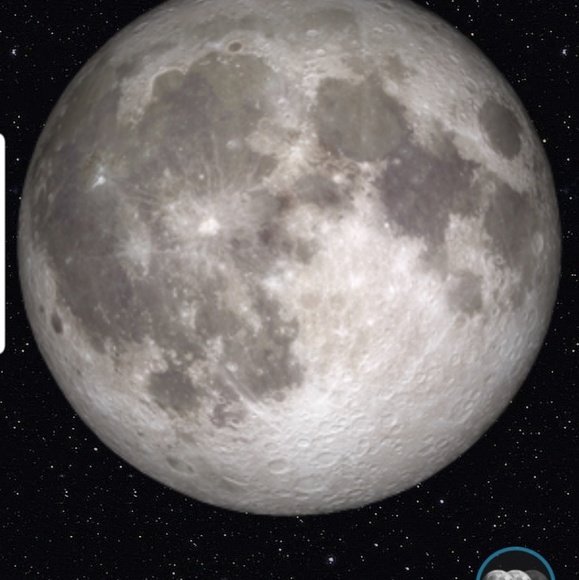 Meet your Posher, Susan - Picture 1 of 1